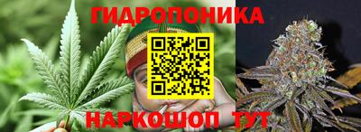трава Комсомольск-на-Амуре