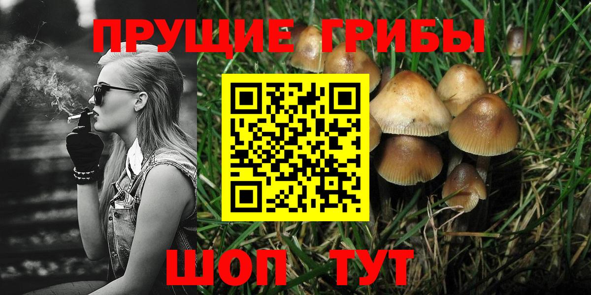 Шумерля  Галлюциногенные грибы мицелий  Вход с VPN 