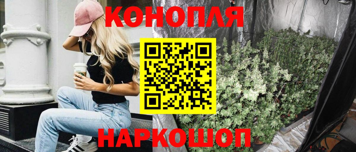 Шишки марихуана планчик  Вход с VPN  Каннабис индика  Шумерля  Бошки Шишки Ganja 